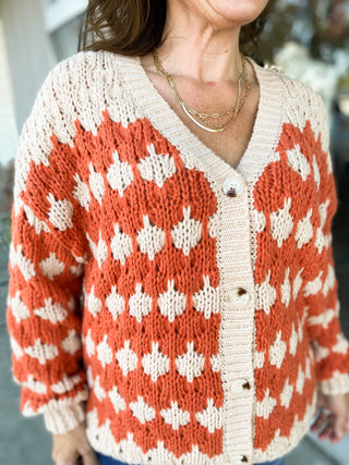 Hudson Cardigan Sweater.