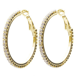Sparkle Hoop  Earring