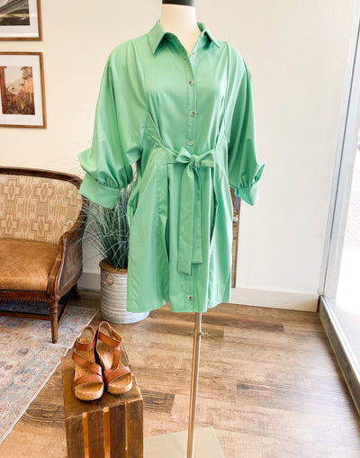 Tiffany Button Up Dress