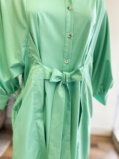 Tiffany Button Up Dress