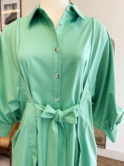 Tiffany Button Up Dress