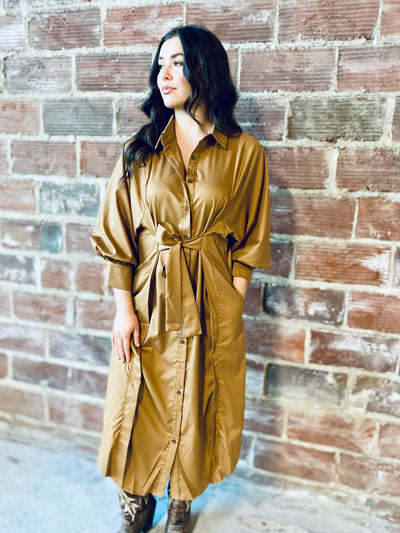 Aspen Button Down Dress