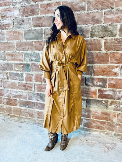 Aspen Button Down Dress