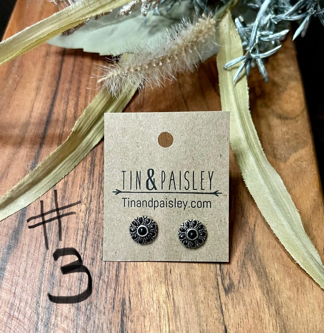 Western Style Assorted Post Earrings