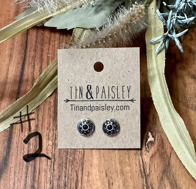 Western Style Assorted Post Earrings