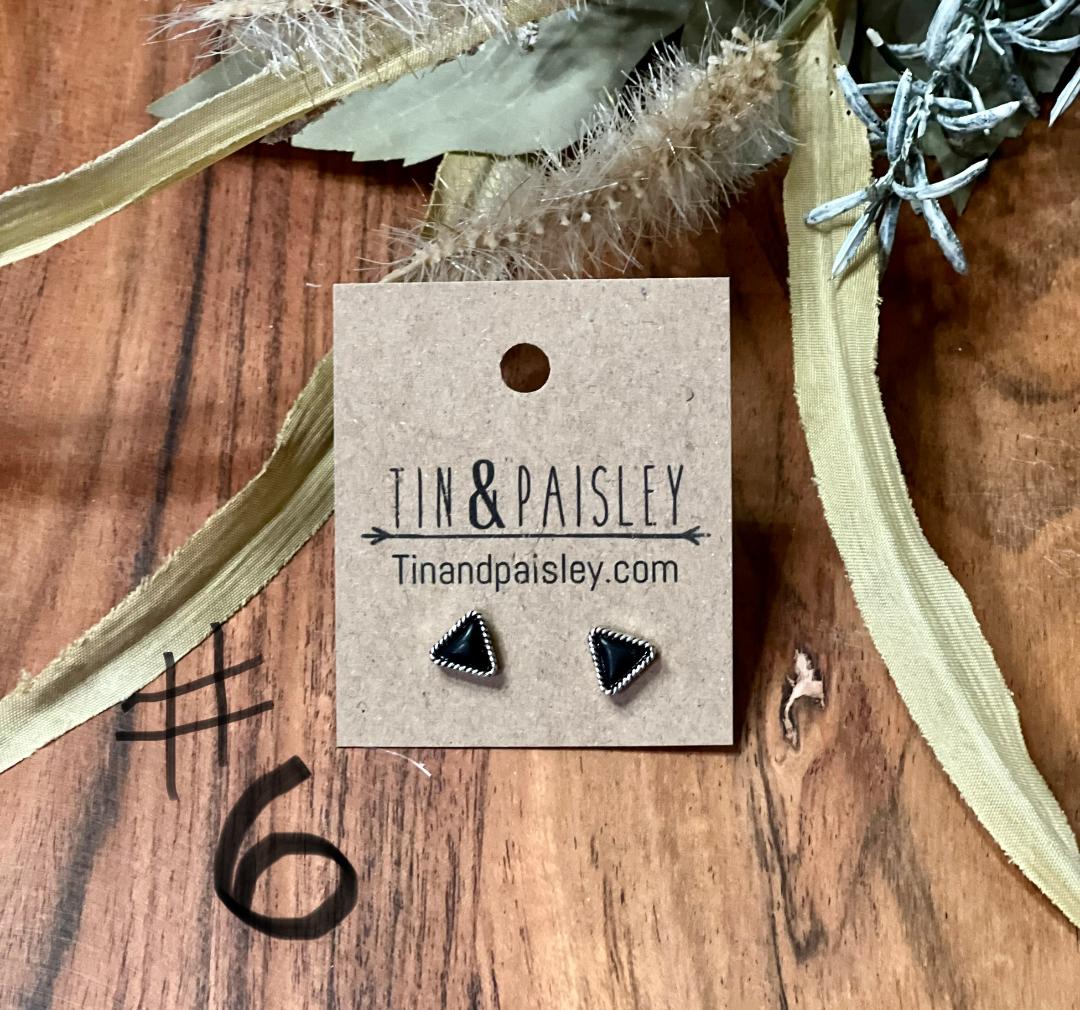Western Style Assorted Post Earrings